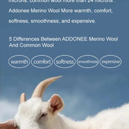Goat with text about Addonee Merino Wool properties against a blue sky.