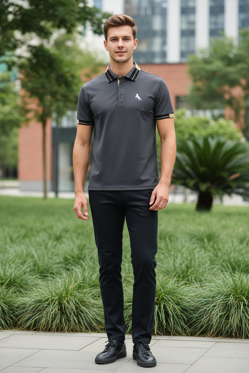 Gray polo shirt with brand logo, gold watch, and branded box on a dark background