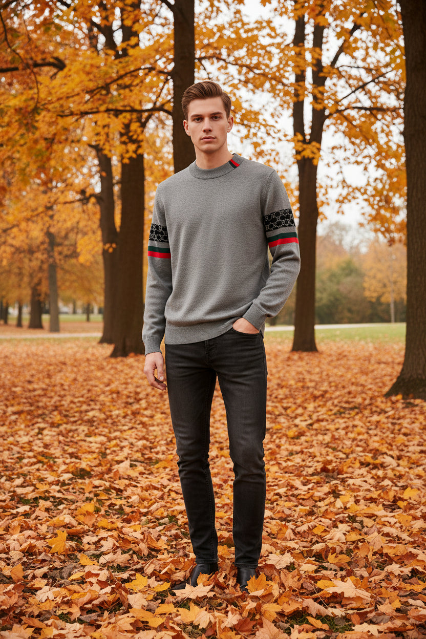 Gray sweater with patterned sleeves on a white background