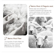 Comparison of Merino wool and regular wool with text on a white background